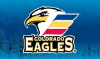 Picture of WIBA - Colorado Eagles Hockey game
