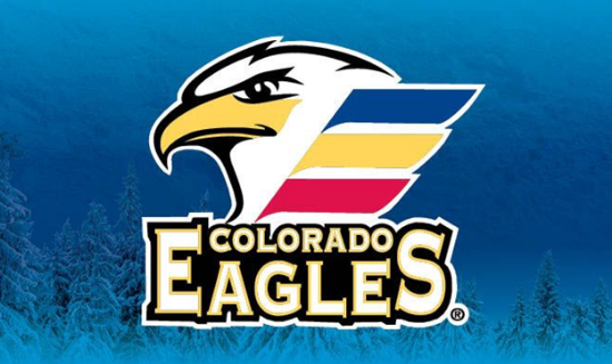 Picture of WIBA - Colorado Eagles Hockey game